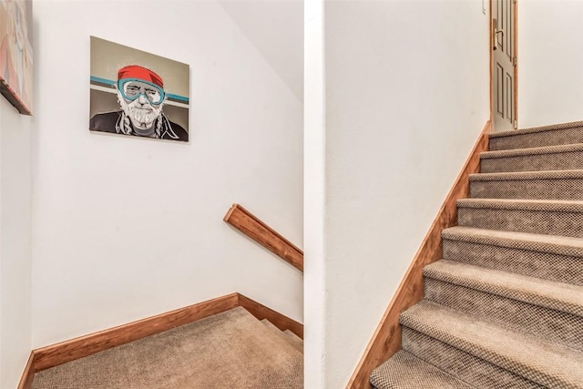 staircase featuring baseboards and carpet flooring