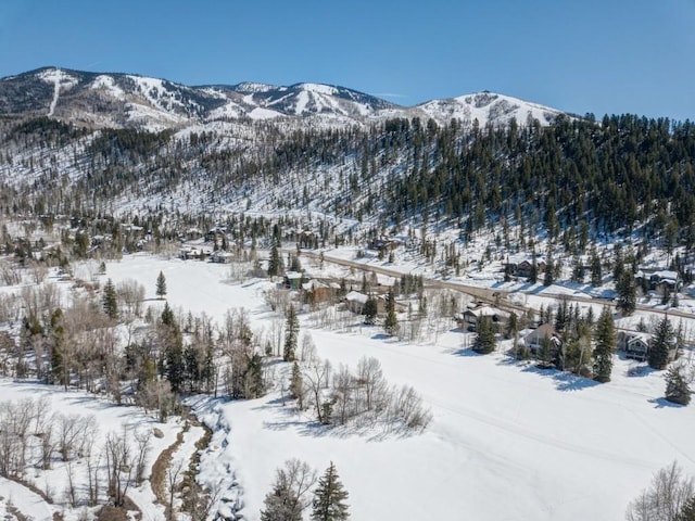 1031 Steamboat Blvd, Steamboat Springs, CO 80487 - view of mountain backdrop