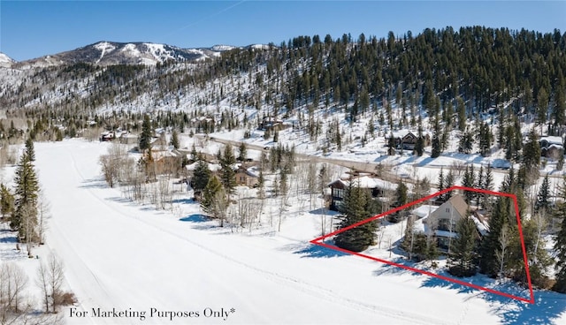 1031 Steamboat Blvd, Steamboat Springs, CO 80487 - view of mountain backdrop