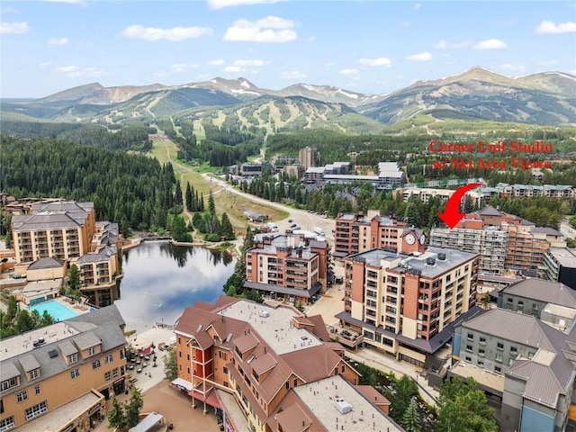 535 S Park Ave Unit 209, Breckenridge, CO 80424 - photo 1