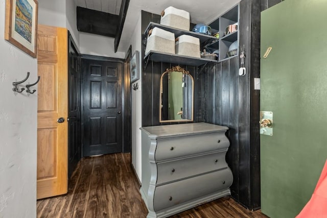 spacious closet with dark wood finished floors