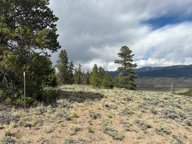 29 Cedar Dr, Twin Lakes, CO 80461