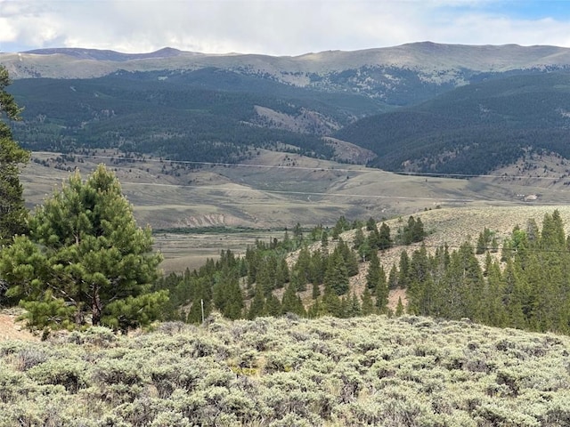 29 Cedar Dr, Twin Lakes, CO 80461