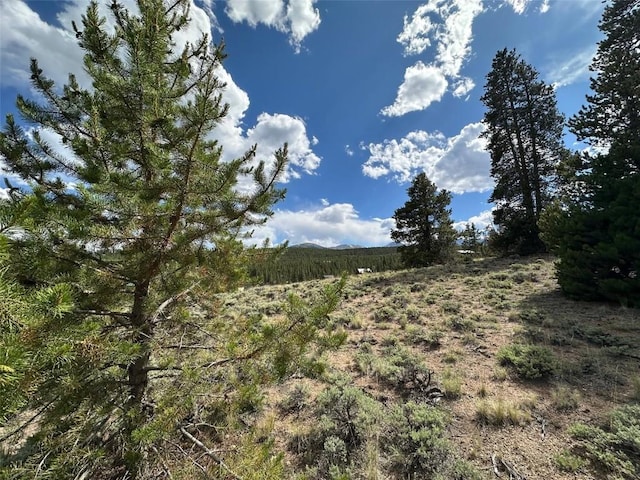 29 Cedar Dr, Twin Lakes, CO 80461