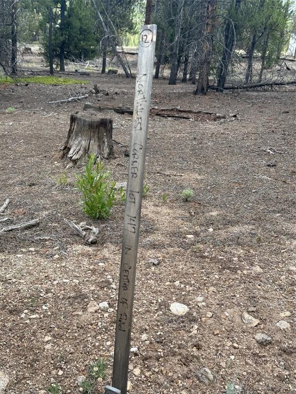 29 Cedar Dr, Twin Lakes, CO 80461