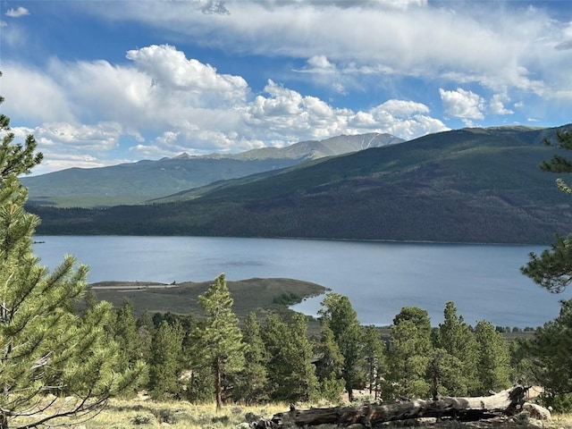 29 Cedar Dr, Twin Lakes, CO 80461