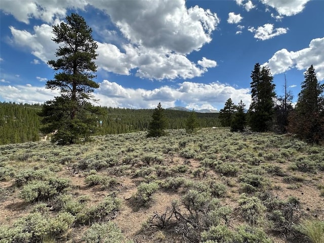 29 Cedar Dr, Twin Lakes, CO 80461