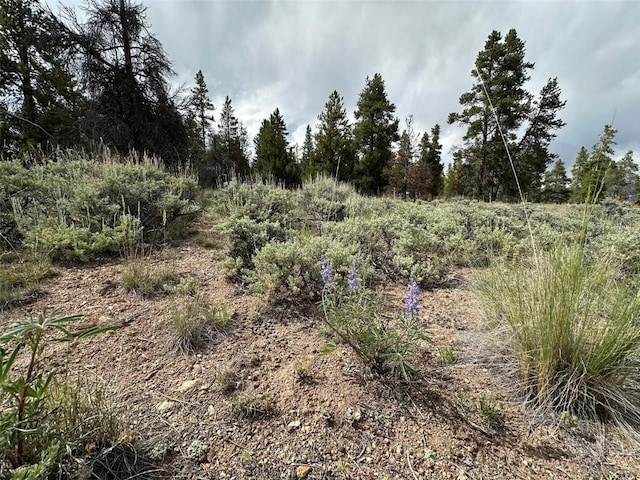 29 Cedar Dr, Twin Lakes, CO 80461