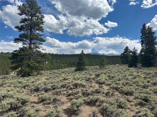 29 Cedar Dr, Twin Lakes, CO 80461
