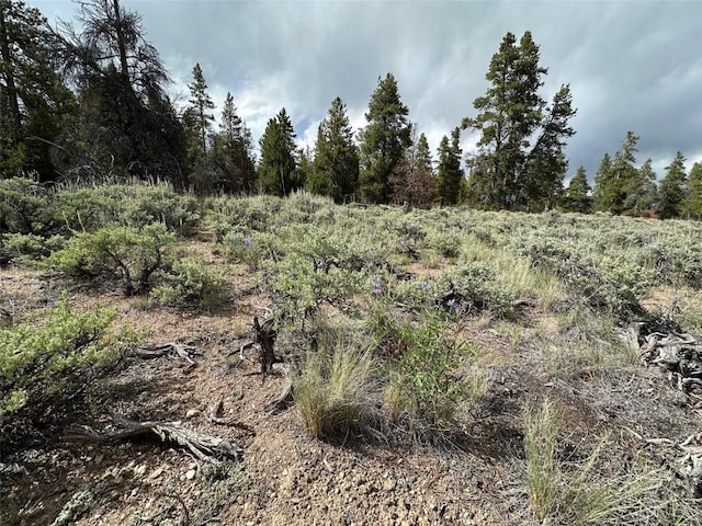29 Cedar Dr, Twin Lakes, CO 80461