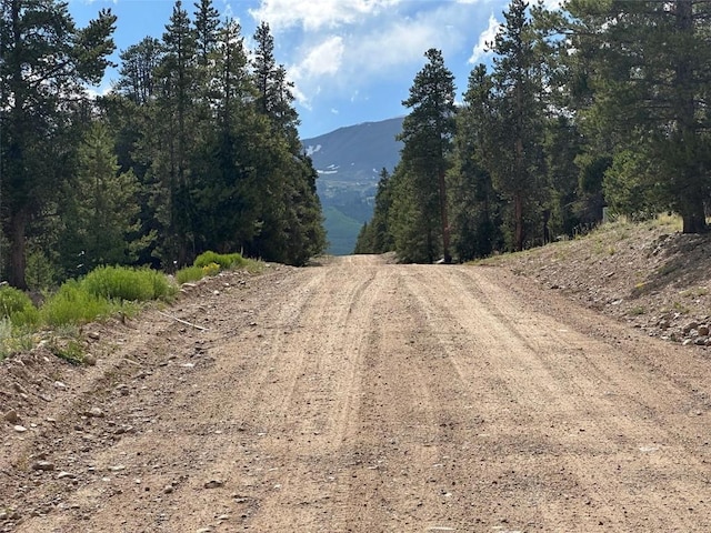 29 Cedar Dr, Twin Lakes, CO 80461