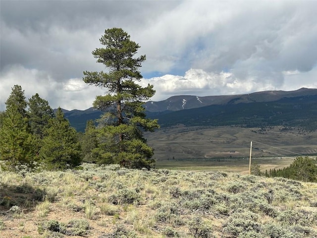 29 Cedar Dr, Twin Lakes, CO 80461