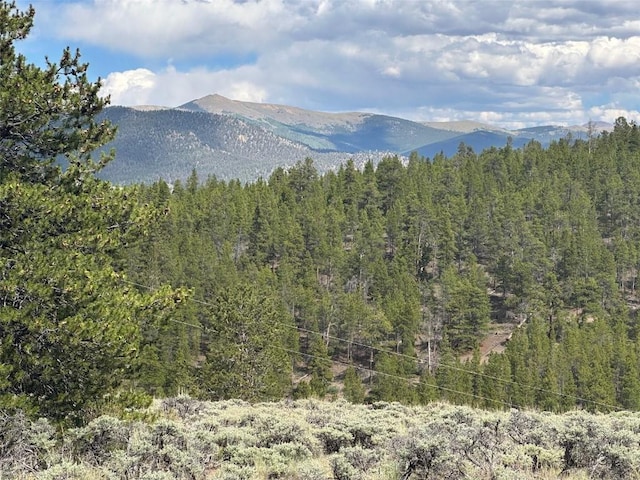 29 Cedar Dr, Twin Lakes, CO 80461