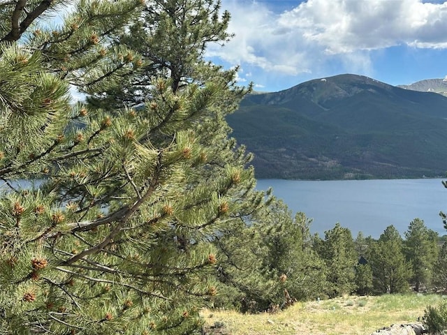 29 Cedar Dr, Twin Lakes, CO 80461