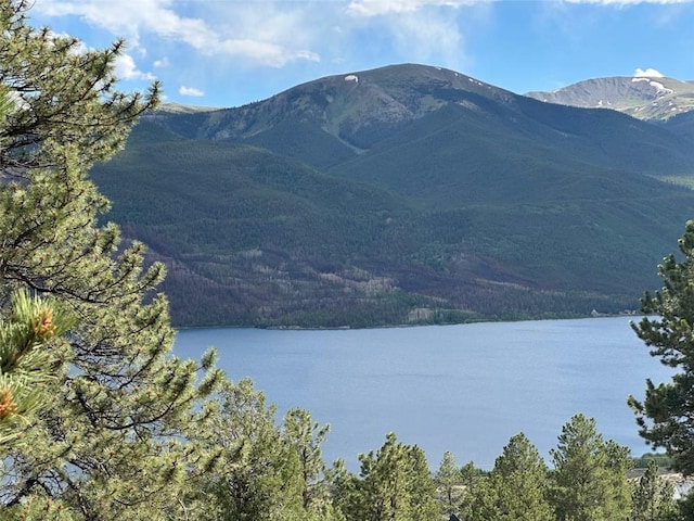 29 Cedar Dr, Twin Lakes, CO 80461