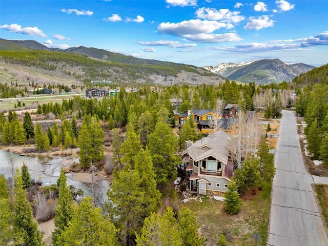 197 Wild Irishman Rd, Keystone, CO 80435 - photo 49