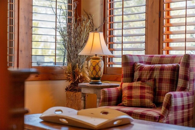 197 Wild Irishman Rd, Keystone, CO 80435 - living area with plenty of natural light