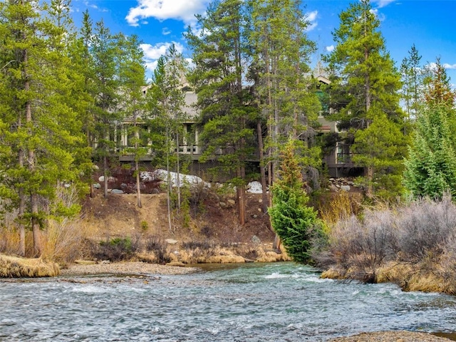 197 Wild Irishman Rd, Keystone, CO 80435 - view of yard
