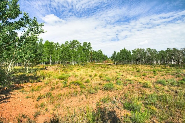 240 Beaver Ln, Fairplay, CO 80440 - photo 1
