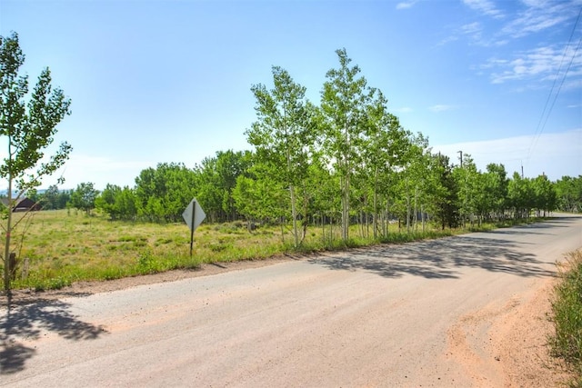 240 Beaver Ln, Fairplay, CO 80440 - photo 6