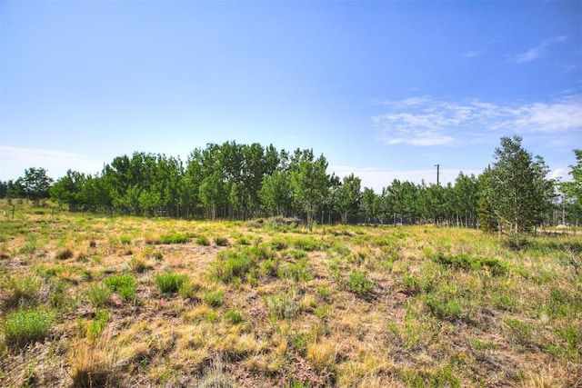 240 Beaver Ln, Fairplay, CO 80440 - photo 7