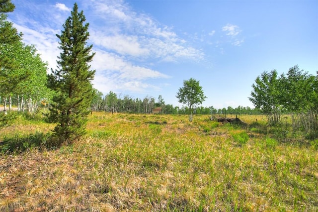 240 Beaver Ln, Fairplay, CO 80440 - photo 5