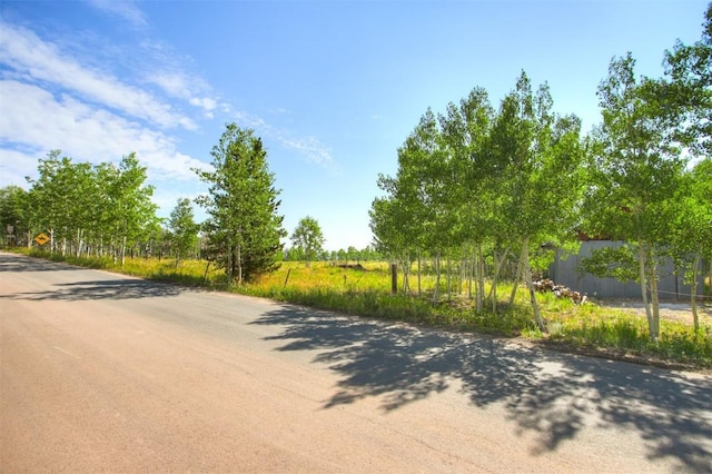 240 Beaver Ln, Fairplay, CO 80440 - photo 8