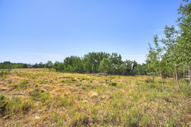 240 Beaver Ln, Fairplay, CO 80440 - photo 4