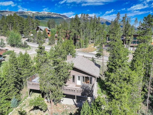 24 Ski Pole Ct, Breckenridge, CO 80424 - view of subject property with a mountain backdrop