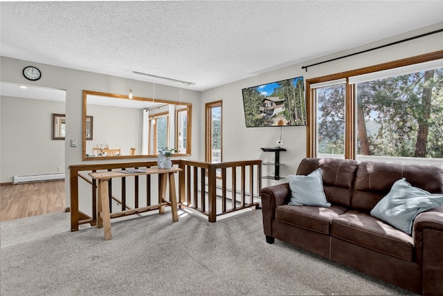 24 Ski Pole Ct, Breckenridge, CO 80424 - living area featuring baseboard heating, carpet flooring, a textured ceiling, and a baseboard radiator