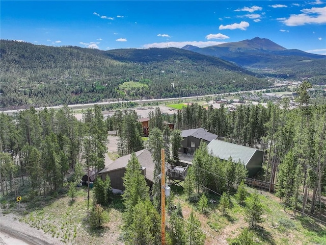24 Ski Pole Ct, Breckenridge, CO 80424 - view of mountain background featuring a heavily wooded area