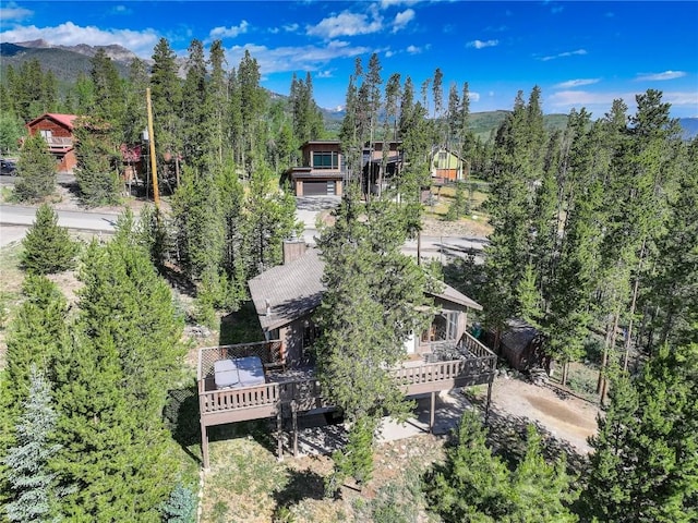 24 Ski Pole Ct, Breckenridge, CO 80424 - view of subject property