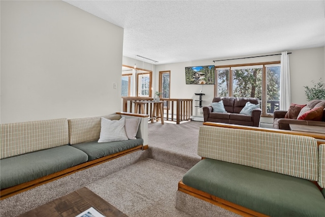 24 Ski Pole Ct, Breckenridge, CO 80424 - living area with carpet floors, a textured ceiling, and a baseboard heating unit
