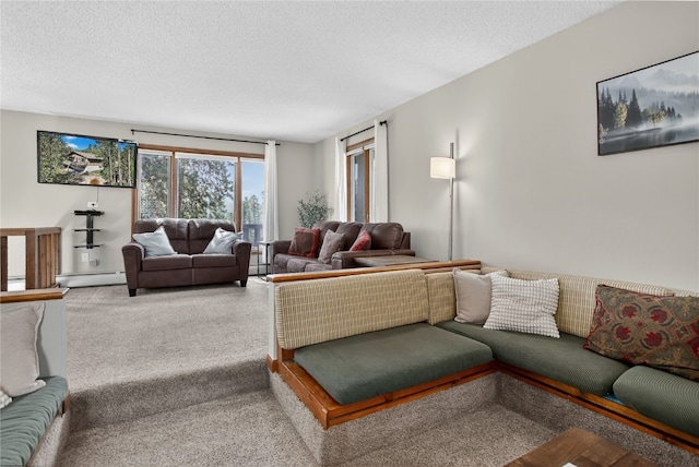 24 Ski Pole Ct, Breckenridge, CO 80424 - carpeted living room featuring a textured ceiling and baseboard heating