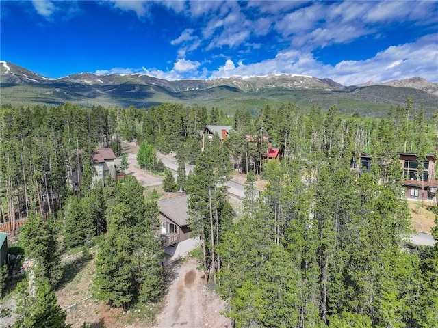 24 Ski Pole Ct, Breckenridge, CO 80424 - mountain view featuring a heavily wooded area