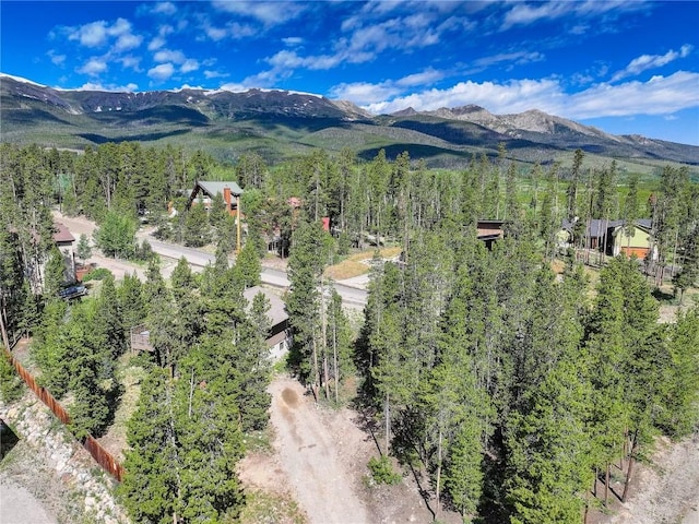 24 Ski Pole Ct, Breckenridge, CO 80424 - mountain view with a forest