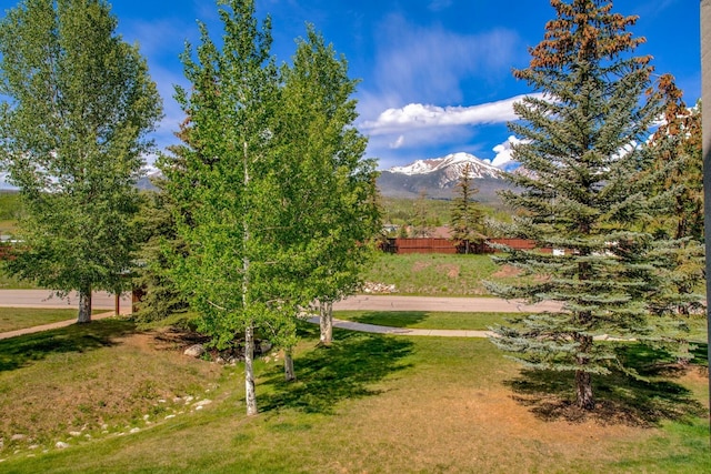 102 Creek Ln Unit 102, Silverthorne, CO 80498 - mountain view