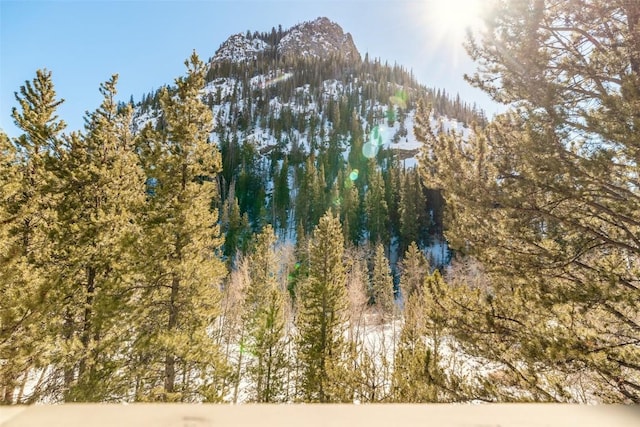 view of landscape featuring a view of trees