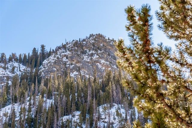 view of mountain feature featuring a view of trees