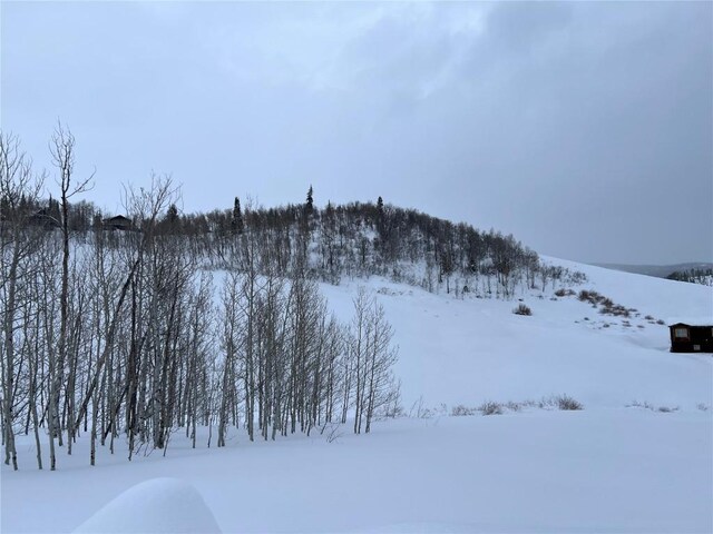 57750 Saturn Ct, Clark, CO 80428