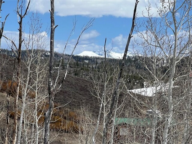 57750 Saturn Ct, Clark, CO 80428