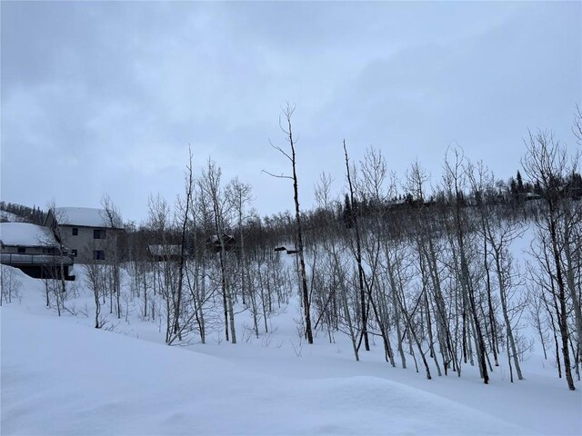 57750 Saturn Ct, Clark, CO 80428