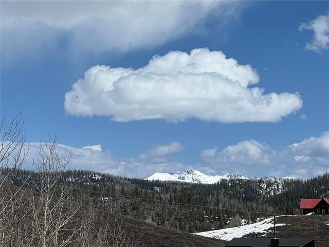 57750 Saturn Ct, Clark, CO 80428