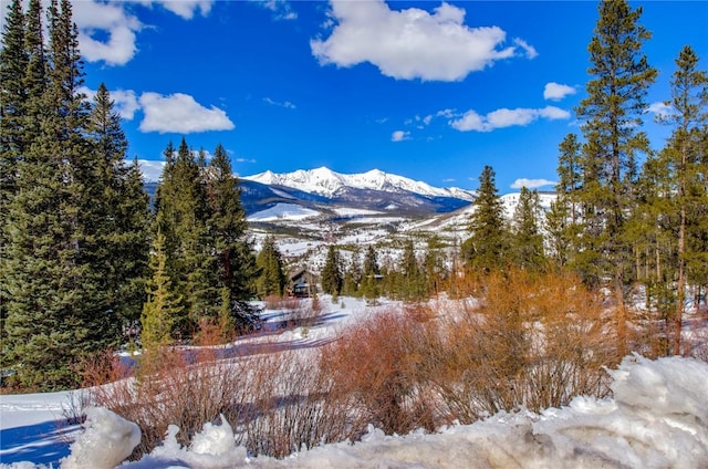 870 Highlands Dr, Breckenridge, CO 80424 - photo 7