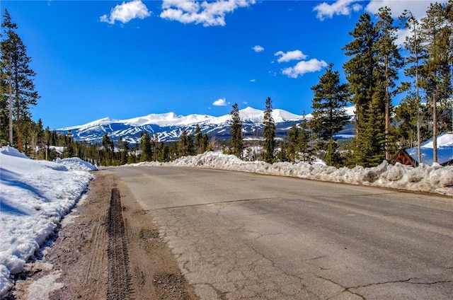 870 Highlands Dr, Breckenridge, CO 80424 - photo 8