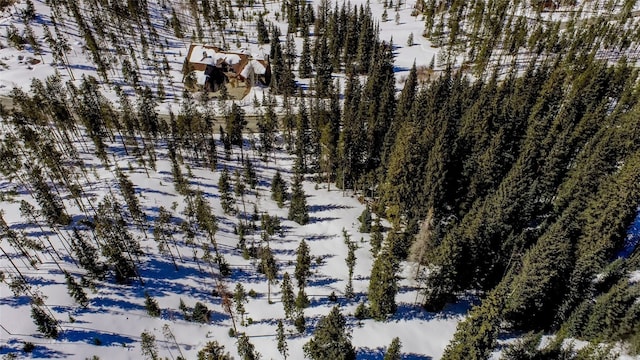870 Highlands Dr, Breckenridge, CO 80424 - photo 9