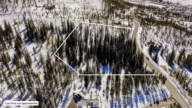 870 Highlands Dr, Breckenridge, CO 80424 - photo 5