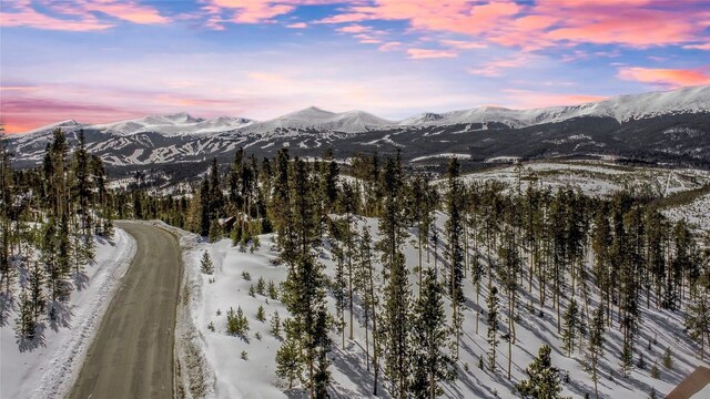 870 Highlands Dr, Breckenridge, CO 80424 - photo 10