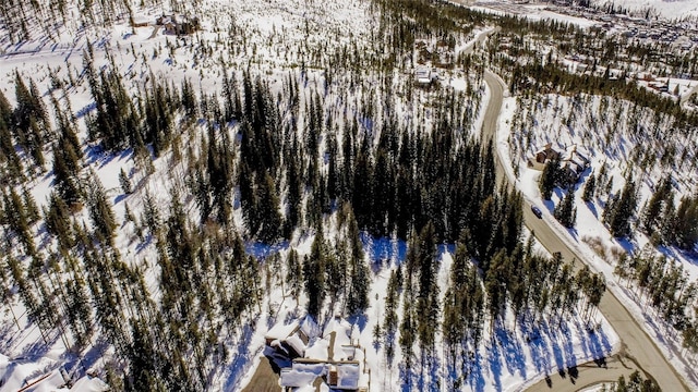 870 Highlands Dr, Breckenridge, CO 80424 - photo 4
