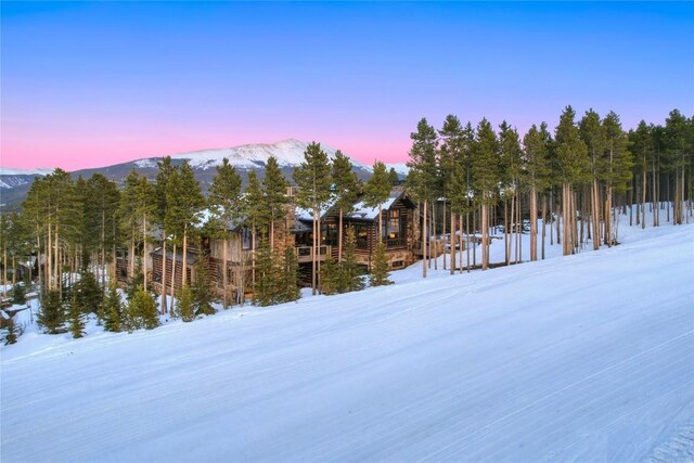 422 Timber Trail Rd, Breckenridge, CO 80424 - snowy yard featuring a mountain view